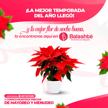 Agencia de marketing digital para emprendedores