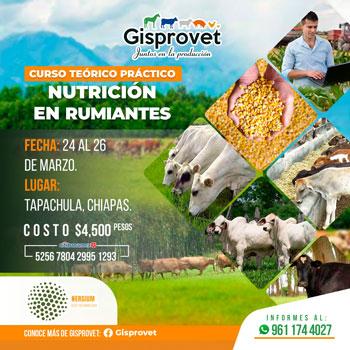 Publicidad Gisprovet